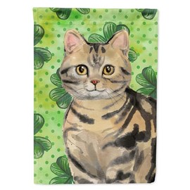 Caroline's Treasures CK3058GF American Shorthair Brown Tabby Shamrock Garden Flag, Green Mailbox Flag Decorative Yard Flag Banner Outside Patio Artwork Yard Flower Beds, Garden Size, Multicolor