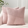 Topfinel Set of 2 Pink Decorative Yellow Throw Pillow Covers