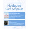 Sante Moisture Ampoule Hyal Quad Core Ampoule 100ml Hyaluronic Acid