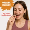 Sunflower Seeds (6-Pack, Honey Cinnamon)