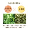 Kawamotoya Tea Prefecture, Made in Japan, Kumamoto Prefecture, Mulberry Leaf