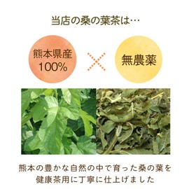 Kawamotoya Tea Prefecture, Made in Japan, Kumamoto Prefecture, Mulberry Leaf Tea Bag, 0.1 oz (3 g) x 20 Packets (1 Bag)