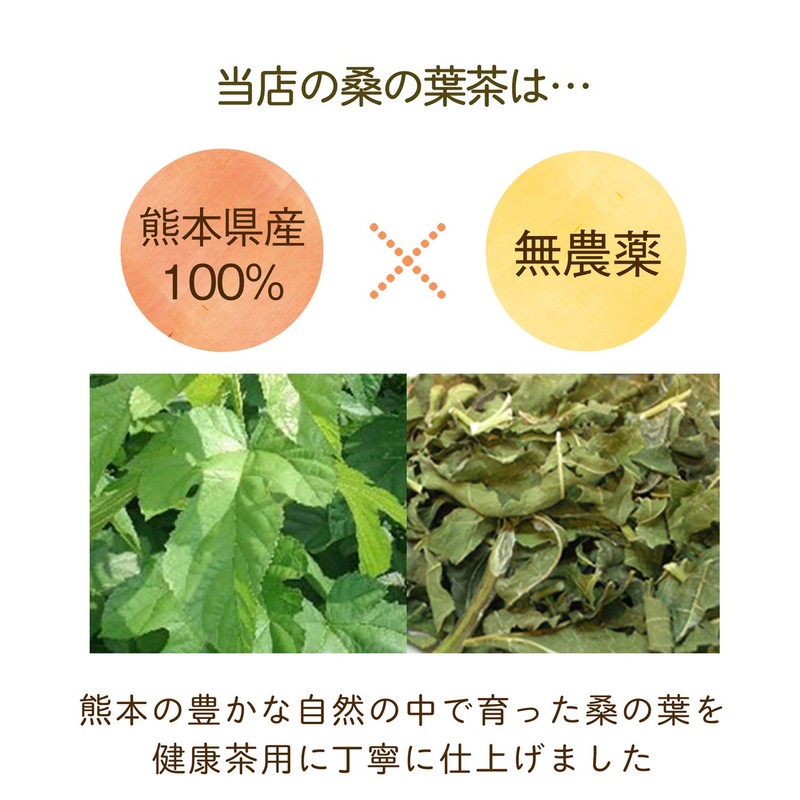 Kawamotoya Tea Prefecture, Made in Japan, Kumamoto Prefecture, Mulberry Leaf