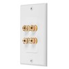 4 Posts Speaker Wall Plate Home Theater Wall Plate Audio