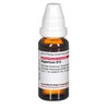DHU Hypericum D12 Dilution, 20 ml Solution
