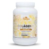 A&g Persea- Colageno Hidrolizado Premium 1.2 Kg-sin Sabor