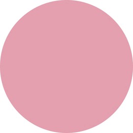 pregel Muse besutooburo-zu 38 G PGM – M038 