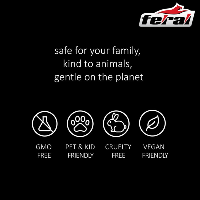 FERAL Car Air Fresheners | 4 PCS | Made in