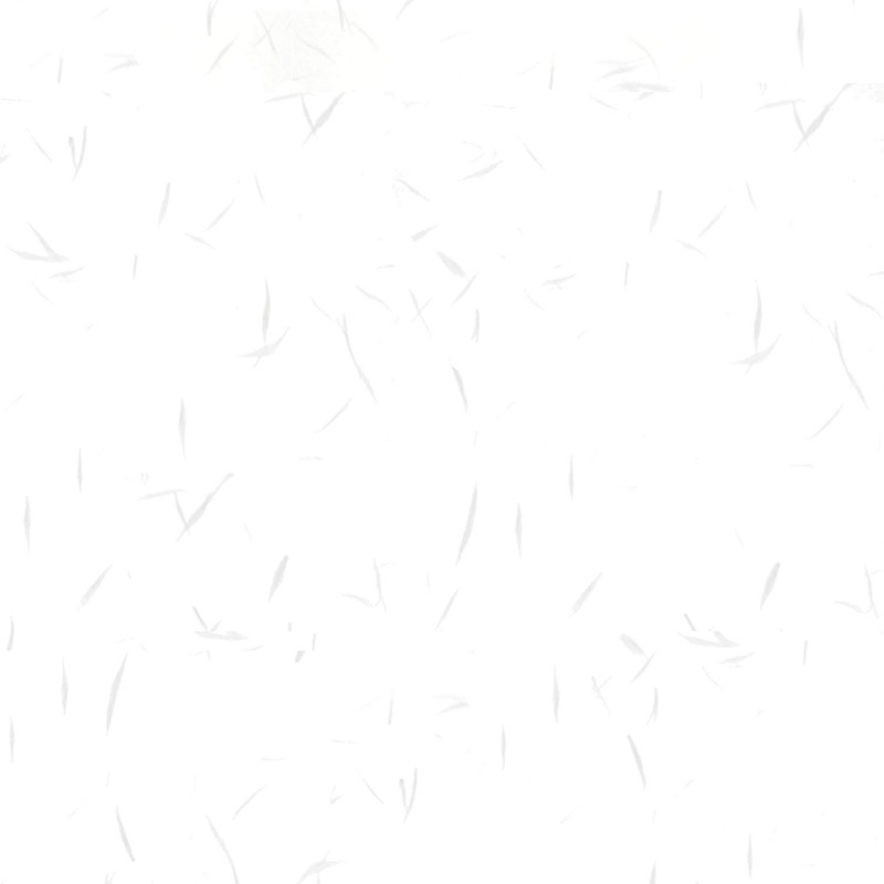 Nagatoya Shoten Washi Paper (Nagomigami) Value Envelopes