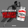 Testrol Creatina Platinum HMB y Beta Alanina Suplemento para Apoyo