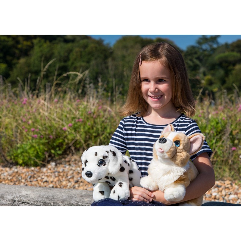 Signature Cuddle Labradoodle Puppy Plush Toy, Size 32 cm