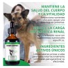 Suplemento Para Salud Renal Perros Natural Riñones Y Vejiga