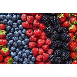 Natures Potions Ltd BERRY SEED SET, Strawberries, Blueberries, Blackberries, Raspberry, Gift Package