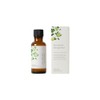 Life Tree Earl Grey Bergamot Blend Essential Oil, 1.0 fl