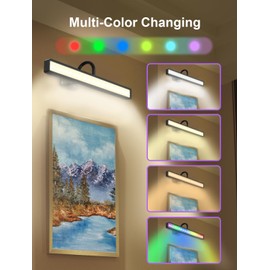 Picture Lights for Wall Rechargeable, 4000mAh Art Lighting for Paintings Wireless with Remote, 16.5in Gallery Light 3 Colors & RGB Brightness Dimmable with Timer for Frame,Portrait,Display(Black)