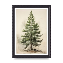 Lithobee - Evergreen pine tree illustration Home Wall Art Prints in Sizes A2, A3 & A4 Framed in a Stylish Quality Coloured Frame or Unframed - A4 Black Ornate Frame