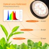 Bstrip Grow Light for Indoor Plants, 65" Tall Standing Grow