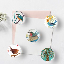 Fridge Magnets for Adults 12 Pcs Decorative Glass Refrigerator Magnets Cute Colorful Strong Magnets for Fridge Whiteboard Dishwasher Lockers (Bird)