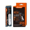 MMOMENT MT34 256GB NVMe M.2 2280 Internal SSD PCIe Gen3x4