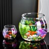 2 Pack Plastic Fish Bowls, 135oz Round Plastic Fish Tank
