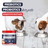 Geneflora Digestive Enzymes and Probiotics for Dogs, Cats, Rabbits and