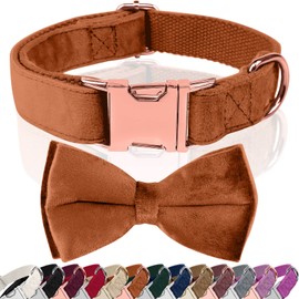 Girl Dog Collars with Bow, Velvet Puppy Collar with Zinc Alloy Safety Buckle, Adjustable Soft Dog Bow Tie Collar, Detachable Breakaway Dog Collar with Metal D-Ring for Small Medium Large Dogs (S, Bronze-Golden)