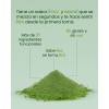 Greens Support Prebióticos Y Enzimas Digestivas 30 Ingredi