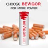 BEVIGOR AA Lithium Batteries 4Pack Basic, 3000mAh 1.5V Double A