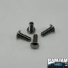 Arrma Notorious 6s Titanium Droop Screw Set