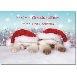doodlecards Granddaughters 1st First Christmas Card Two Cats with Santa Hats Medium Size Christmas Card for Granddaughters 1st with Plain Envelope