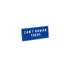 CGB Giftware 'Can't Human Today' Desk Sign | Office |