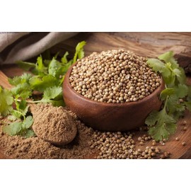CEMEHA SEEDS - Coriander (Chinese Parsley Dhania) Non GMO Vegetable for Planting 500 Seeds