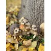 Objectz Hedgehog Group with Toadstool Table or Garden Decoration, Beautiful
