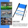 Speed Agility Training Set, Includes 1 Agility Ladder, 4 Steel