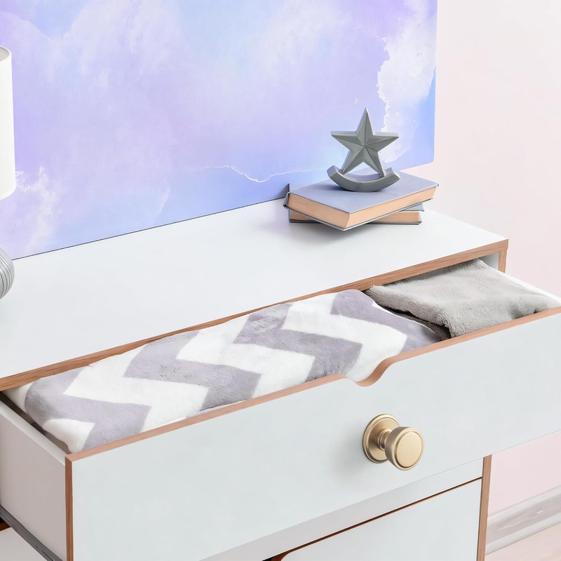 Goo-Ki 6 Pack Cabinet Knobs with Backplate Champagne Bronze Drawer