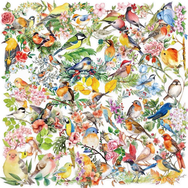 YOKSAS 50PCS Watercolor Bird and Flower Stickers – Clear Nature