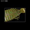 Deps (デプス) Bull Flat 3.8" #28 Scuppinon