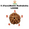 Naisha 5 Mukhi Himalayan Nepali Rudraksha | Five Faced Rudraksha