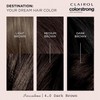 Clairol ColorStrong Permanent Zero Ammonia Hair Dye, 4.0 Dark Brown