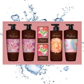 LG Household & Health Care Shampoo Body Premium Gift Set 1 piece 513982 / 엘지생활건강 정성담은 샴푸 바디 프리미엄 선물세트 1개 513982
