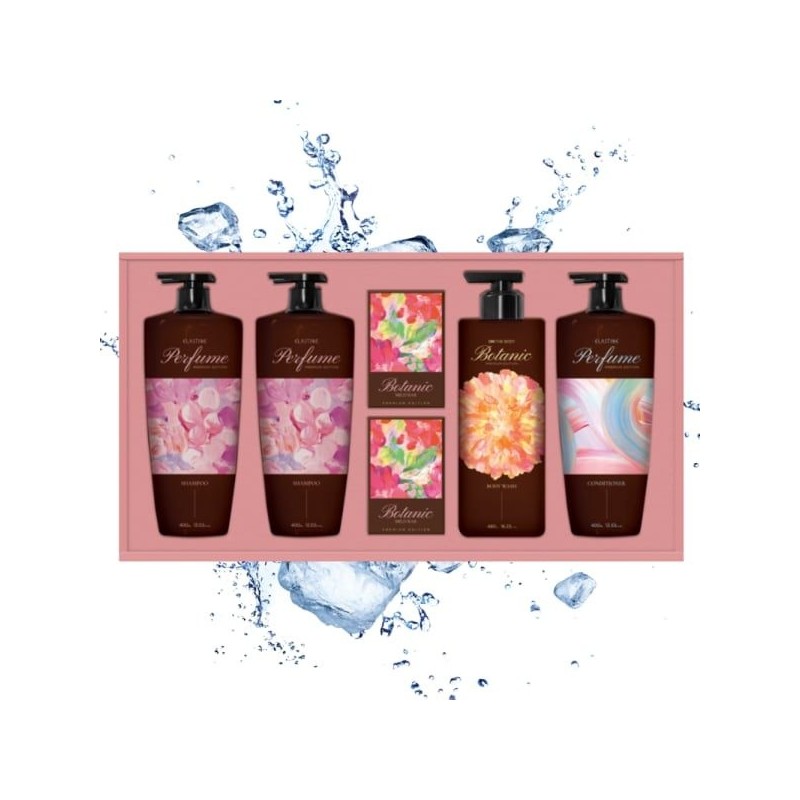 LG Household & Health Care Shampoo Body Premium Gift Set