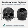 Fokauiwo Skull Terrarium Decor Reptile Hideout for Tank (Black)