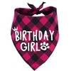 Birthday Girl Dog Bandana