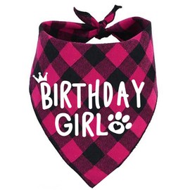 Birthday Girl Dog Bandana