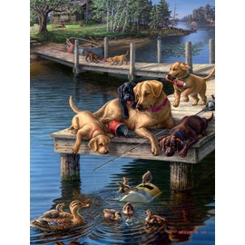 Buffalo Games - Summer School - 750 Piece Jigsaw Puzzle for Adults Challenging Puzzle Perfect for Game Nights - 750 Piece Finished Size is 24.00 x 18.00