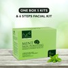FYC Professional Yavi Cosmetics Mint Facial Kit