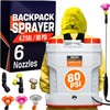 4.2 Gallon Battery-Powered Backpack Sprayer - 6 Nozzles, 80 PSI