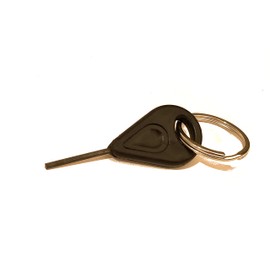Master Key with Key Chain Attachment for 6mm Collars, Cuffs, Bracelets, Anklets