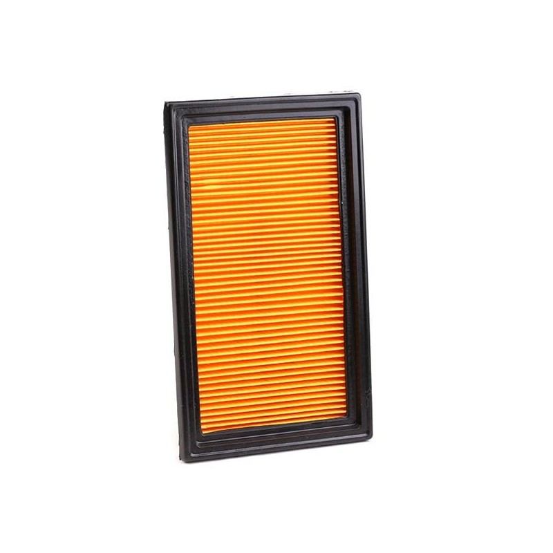 Ashika 20-01-134 Air Filter