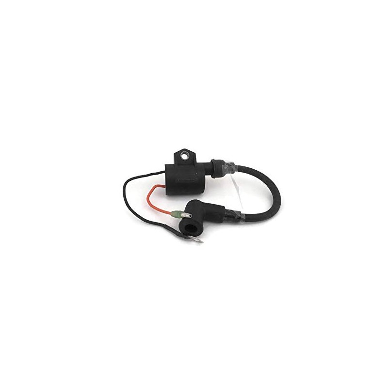 Ignition Coil Ign Entertainment ASSY Alternator Fit For Yamaha Parsun